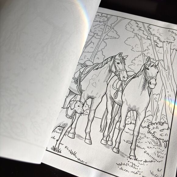 Deena Stone HORSES Coloring Book For Adults NEW - Picture 5 of 6